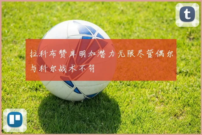 拉科布赞库明加潜力无限尽管偶尔与科尔战术不符